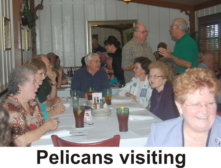 Pelicans visiting.