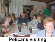 Pelicans visiting.